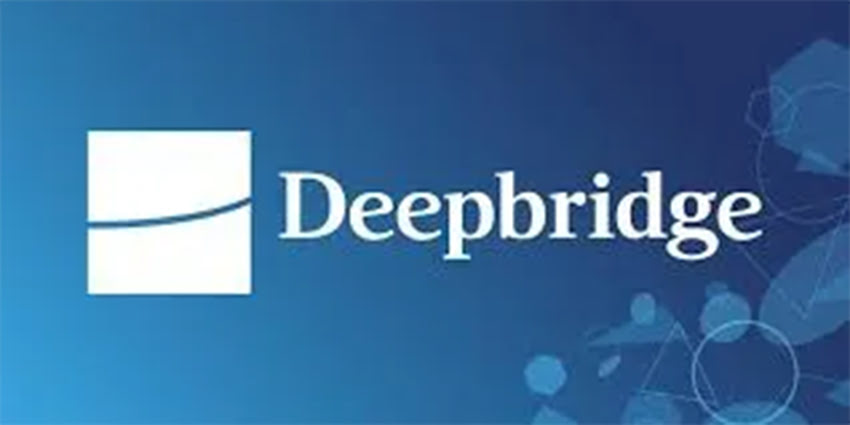 Deepbrid