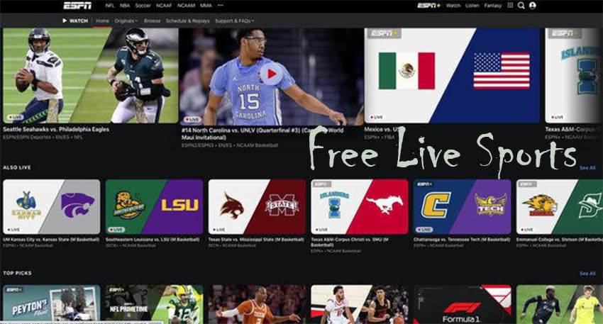 Free Live Sports