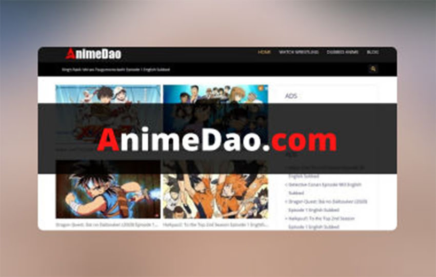 AnimeDao