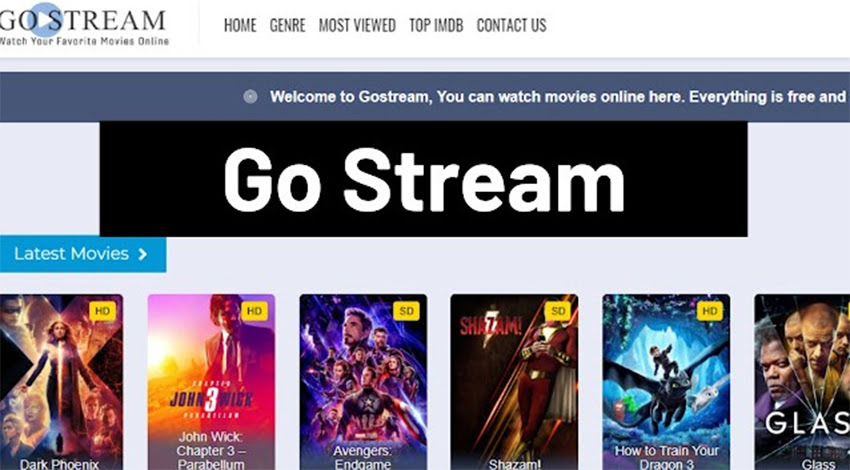 GoStream